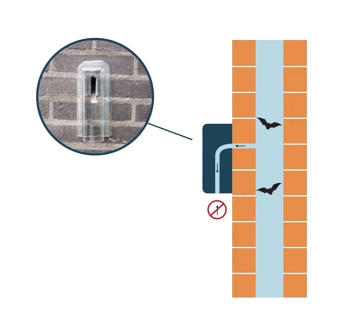 WhatsApp Image 2025-09-25 at 17.09.01